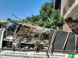 Best Recycling Services for Junk  in Montpelier, ID