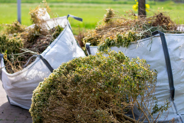 Shed Removal in Montpelier, ID