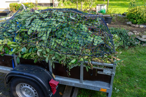 Best Shed Removal  in Montpelier, ID